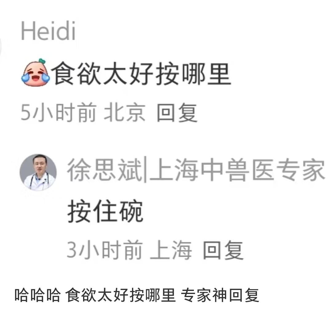 好的👌 