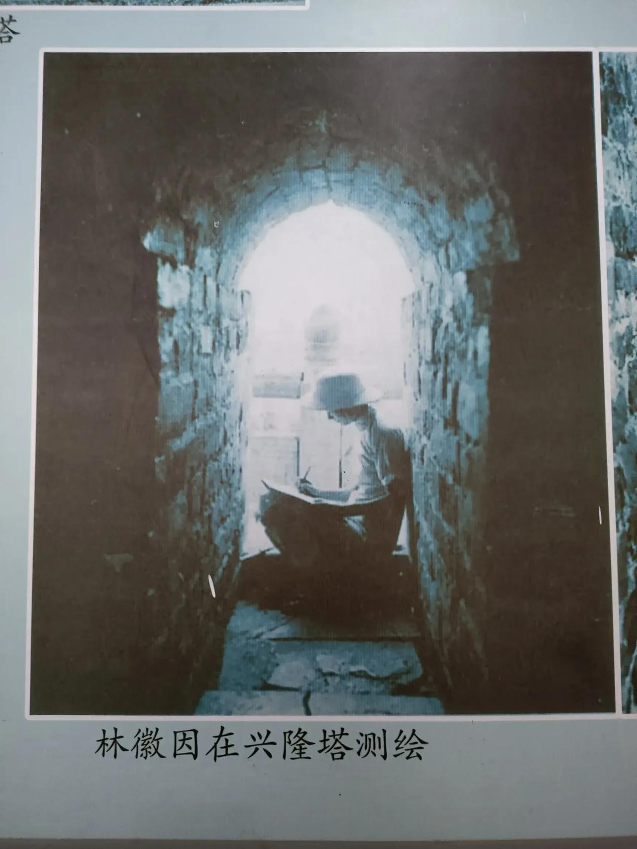 #秋日生活打卡季#
#退休爱生活# 
第一次见这么美的照片，工作着是女性最美的时