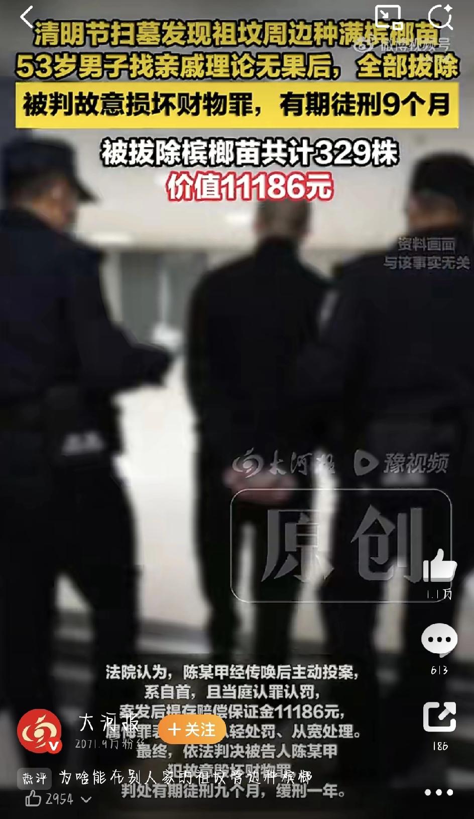 祖坟边上被人种满了槟榔苗，男子一气之下全给拔了，结果被判了刑。这事就发生在海南乐