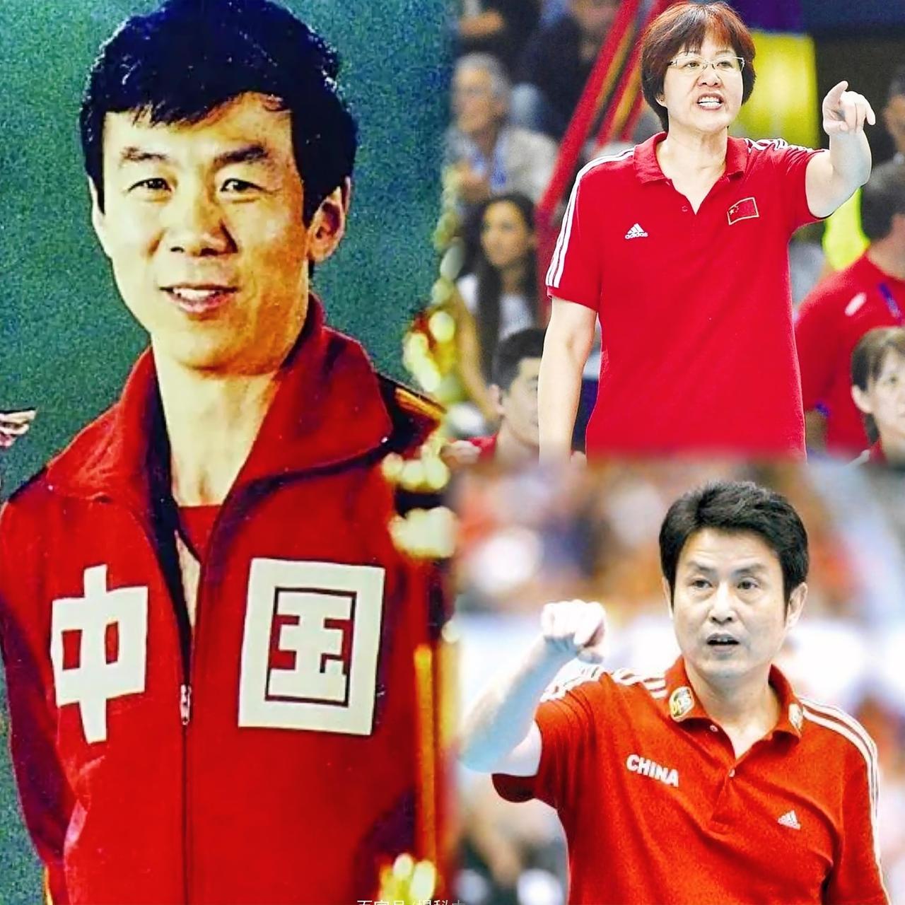 12位中国女排主帅历史地位分档：

独一档：袁伟民

二档：郎平、陈忠和

三档