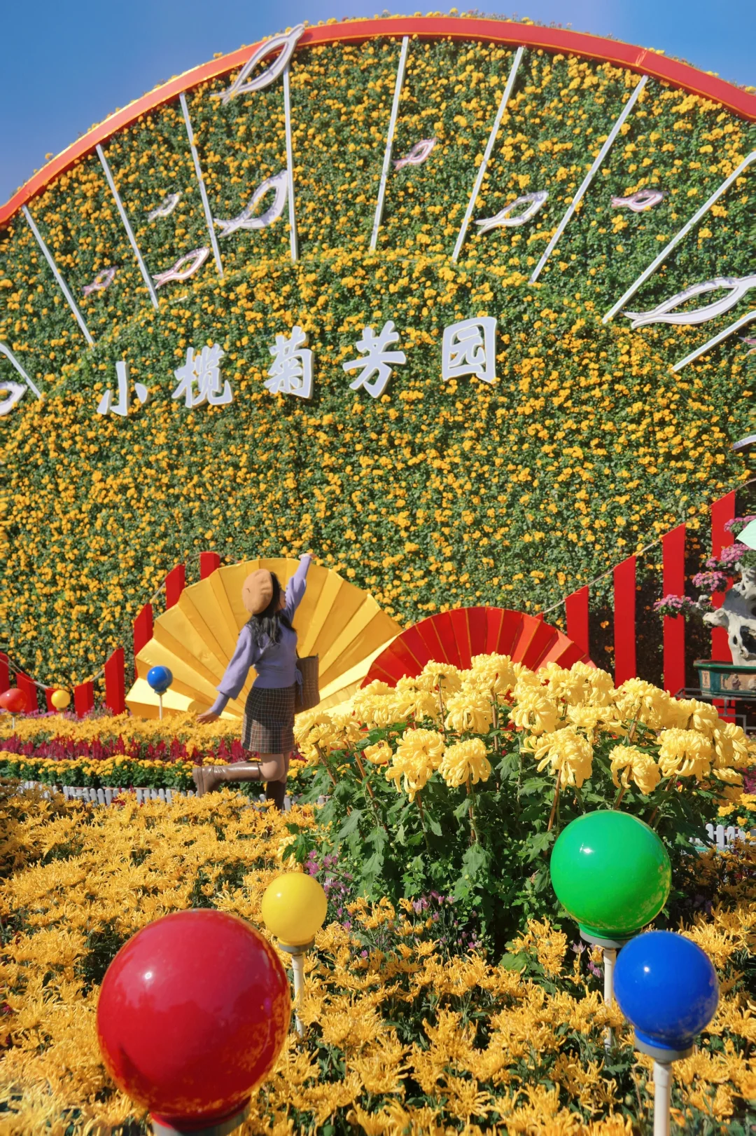 2024中山小榄菊花会避坑游玩攻略‼️