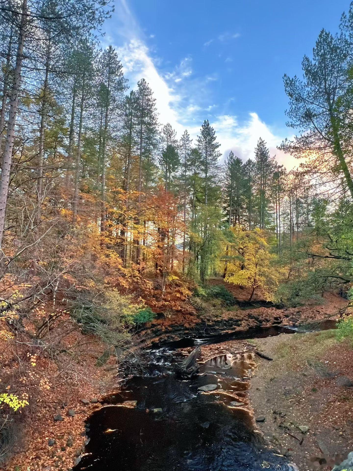 捡蘑菇🍄‍🟫的快乐 ​​​