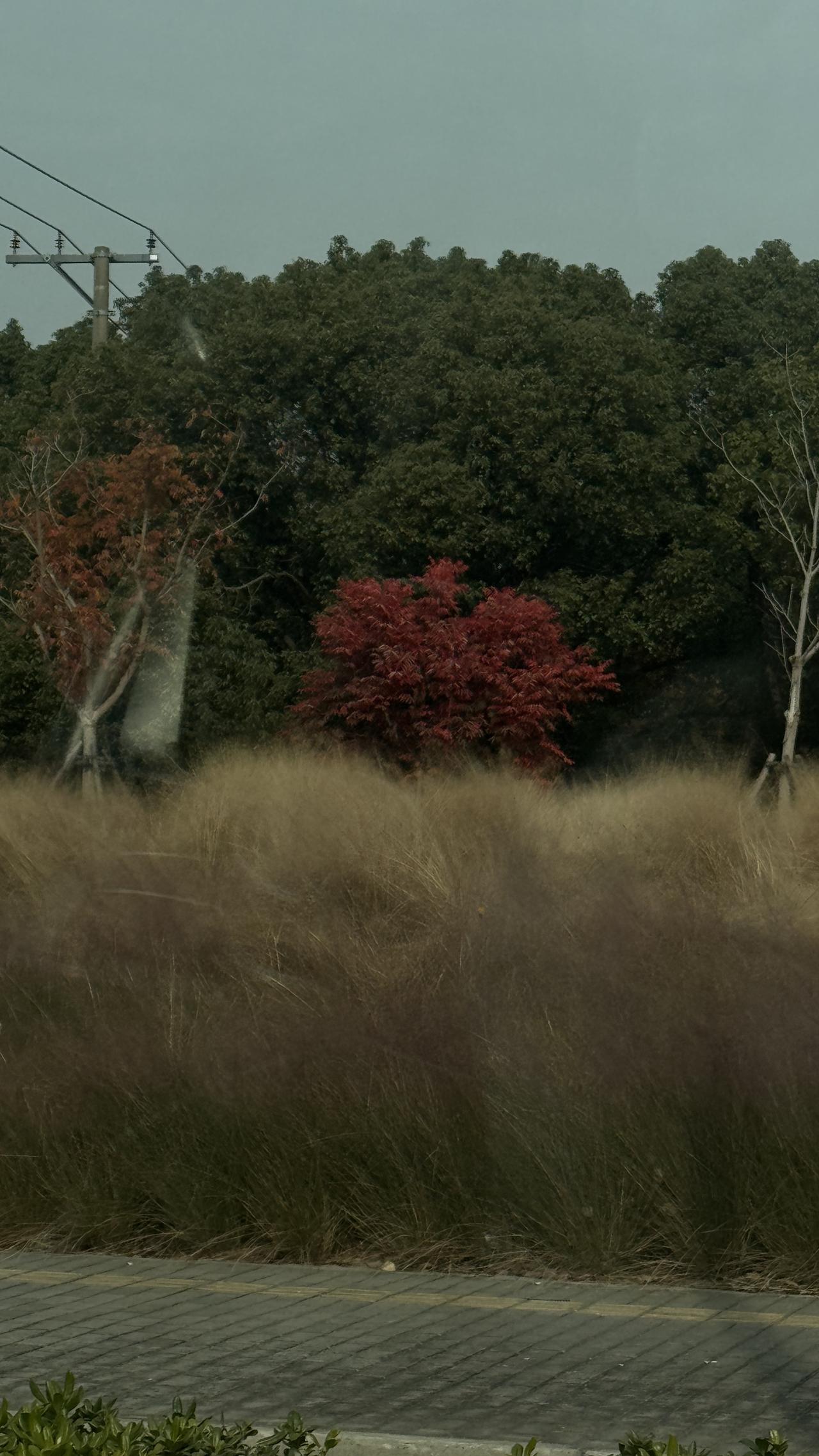 如果有机会对过去的自己说一句话，你会说什么？

日本综艺《明石秋刀鱼的御长寿》每