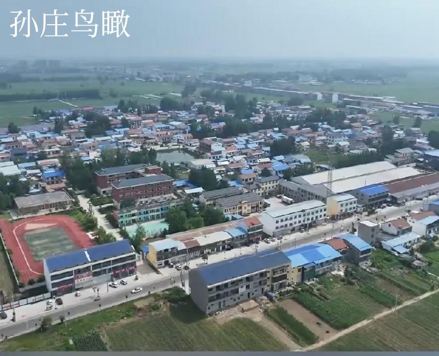 祝贺！山东省菏泽市曹县大集镇孙庄村党总支书记、村委会主任孙学平获“全国优秀党务工