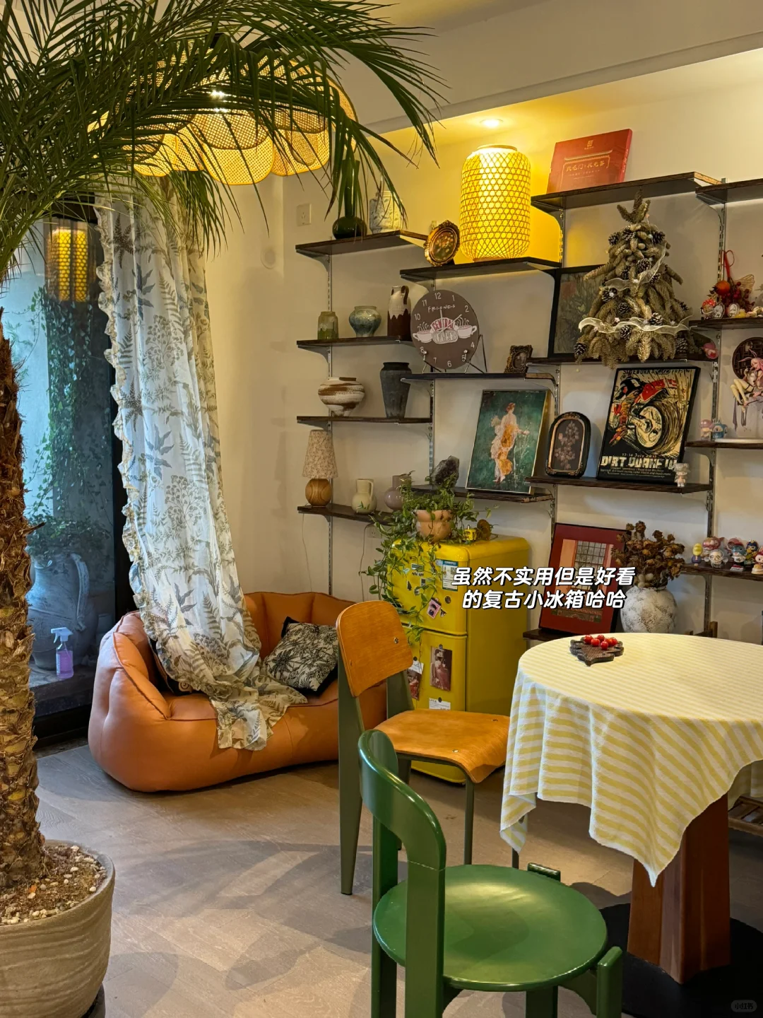 盛夏森林小屋｜养夏天的荷花🪷