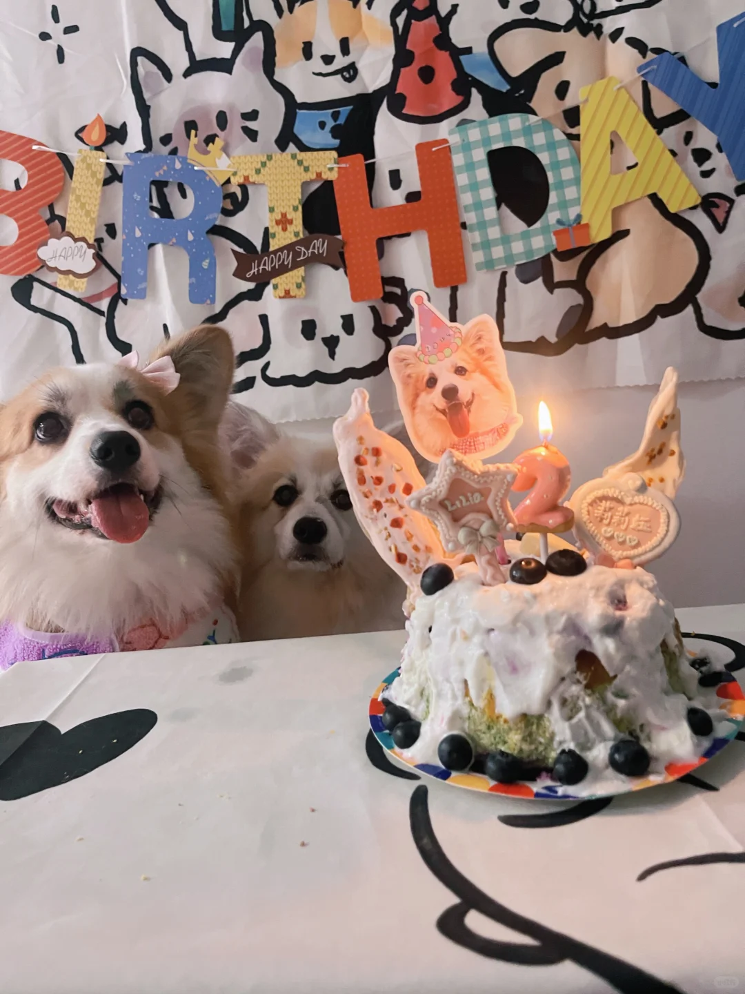 哎呀呀～祝小狗生日快乐