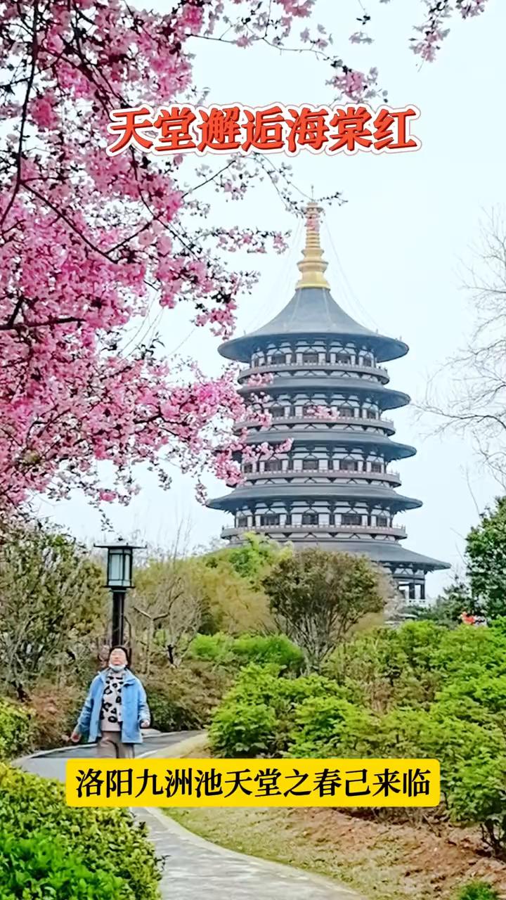 天堂邂逅海棠红，洛阳九洲池天堂之春己来临。