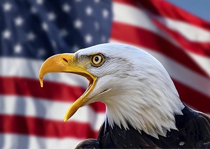 特郎普“恨死”中国！特郎普从内心深处对中国超级“恨”。他恨中国迅速崛起，他恨中国