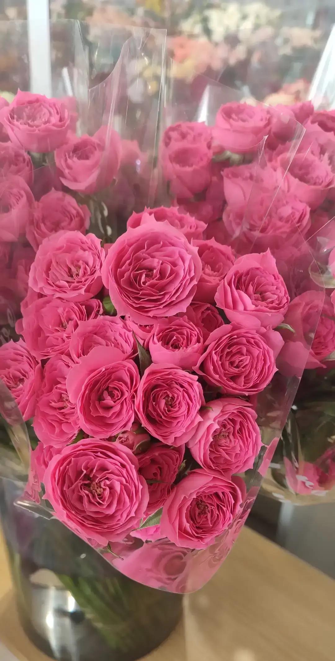 别再猜她赢是因为莎莎退赛。
盯着慢镜头看三遍：王曼昱这次启动快了0.1秒。
这0