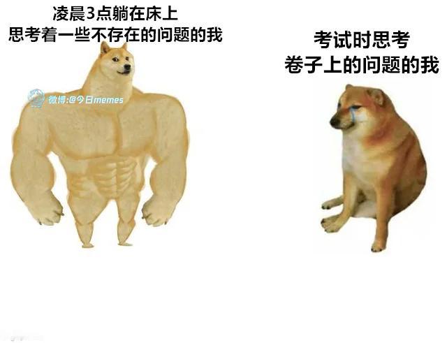 自找的好（9gag）今日meme 今日memes