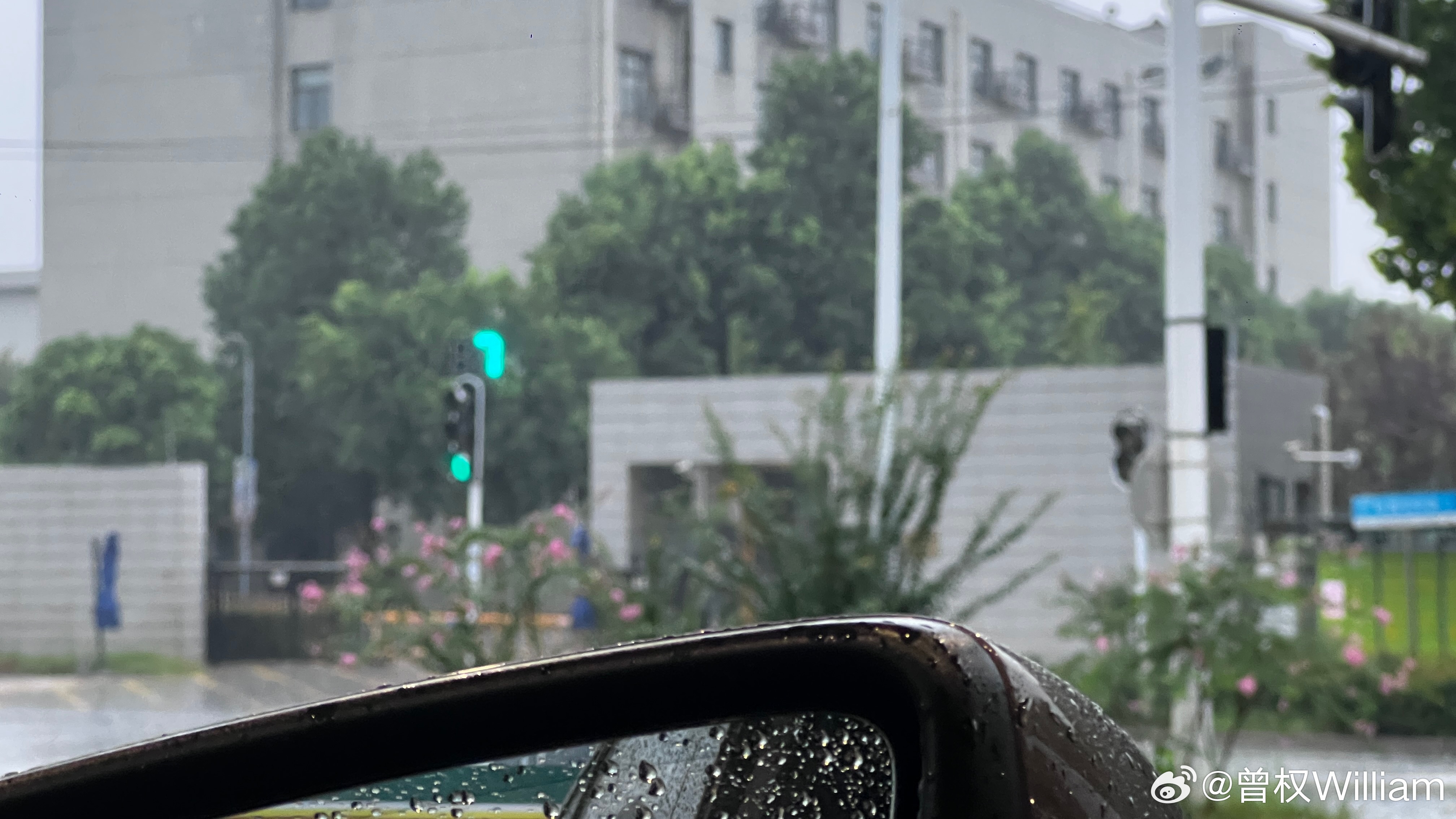 下雨 健身 做饭 会狗日常闲聊  ​​​