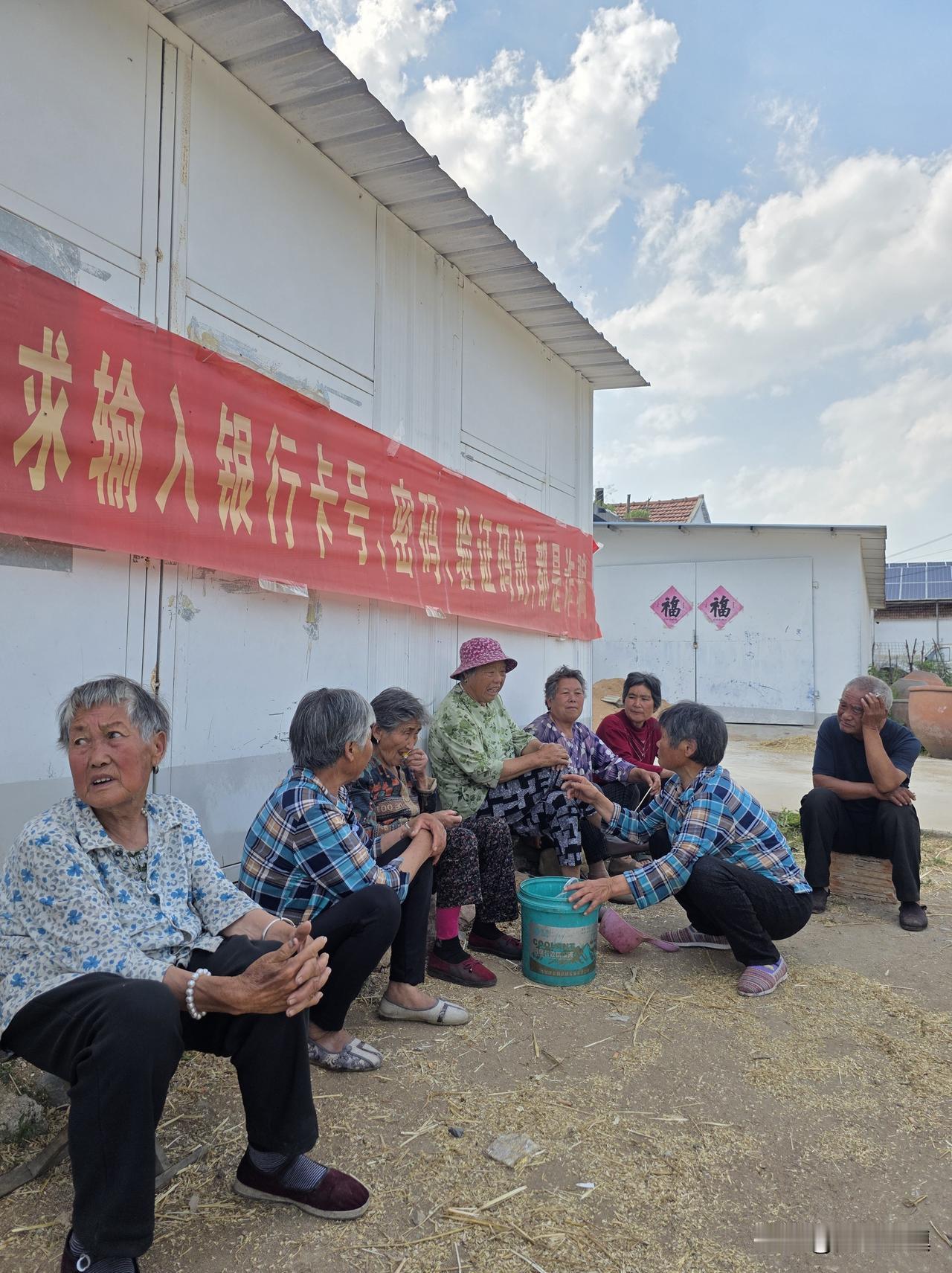 今天下午，品尝了四家乡邻的杏儿……

下午跟叔叔大爷、婶子大娘坐在胡同口，四户乡