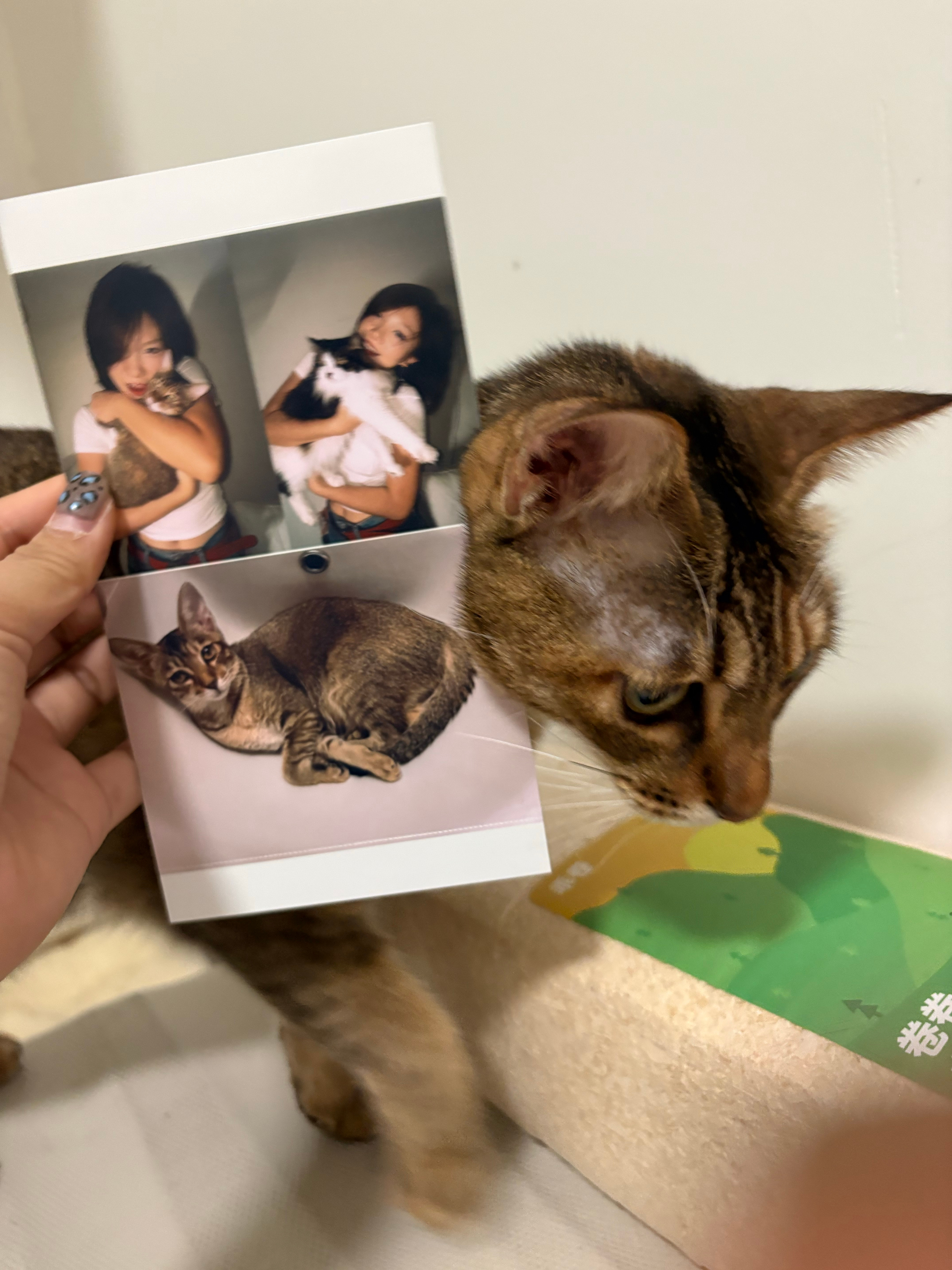 [开学季]买了台佳能CP1500不要太好用，以后旅游完的照片就可以都打印出来了 
