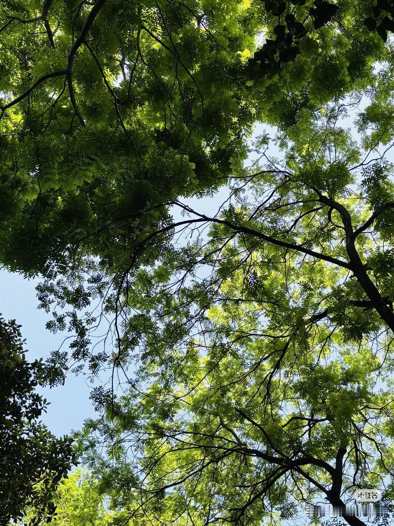 我68岁，老伴70岁，我们俩都没退休金，靠一年6万的租金和以前的积蓄生活。
活到