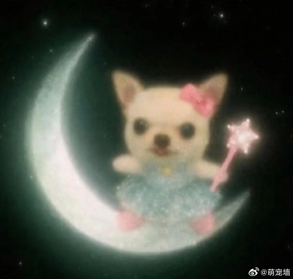 古早小狗图 