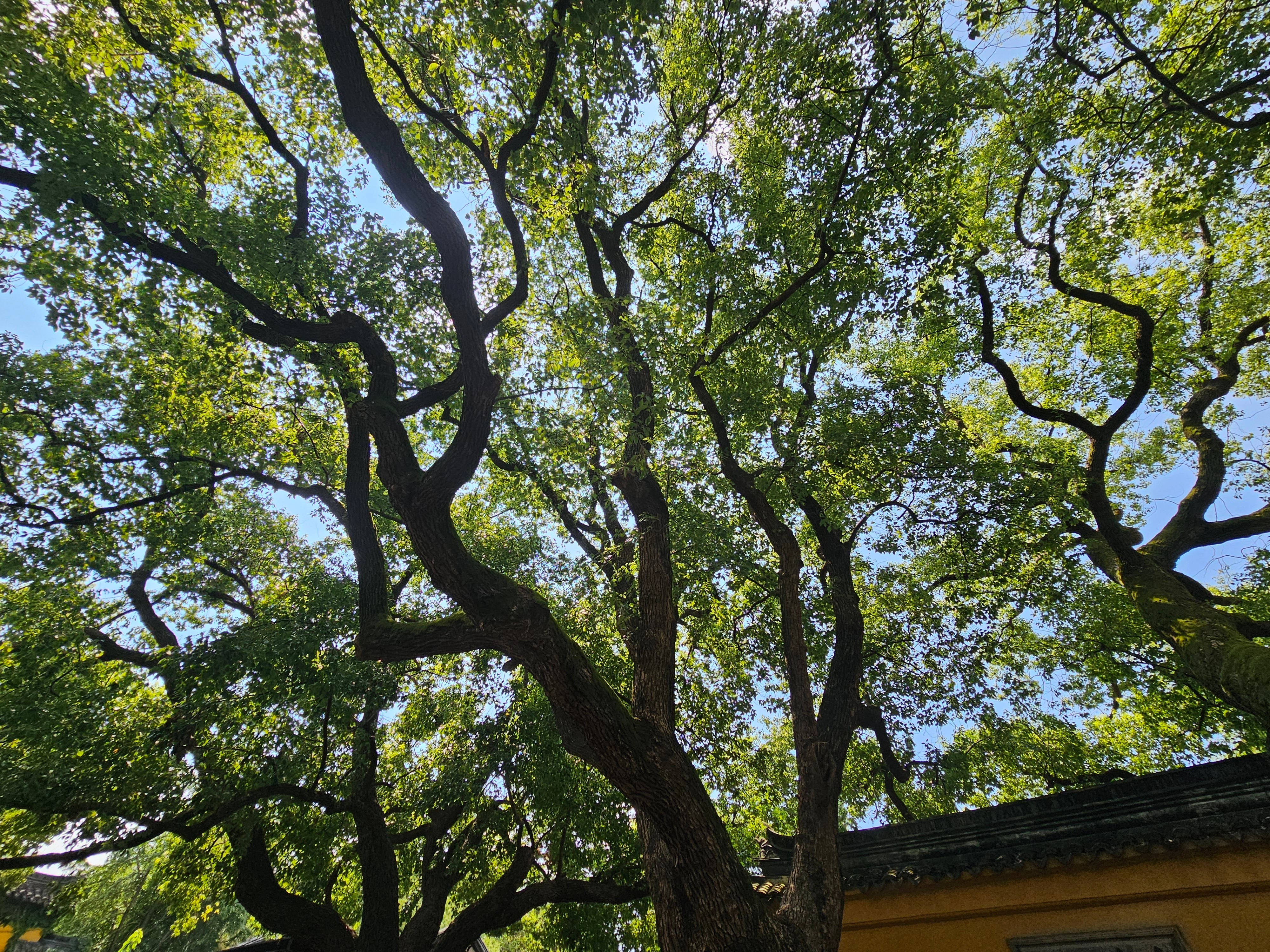 善为至宝，一生用之不尽;心作良田，百世耕之有余。――清金兰生《格言联璧》 