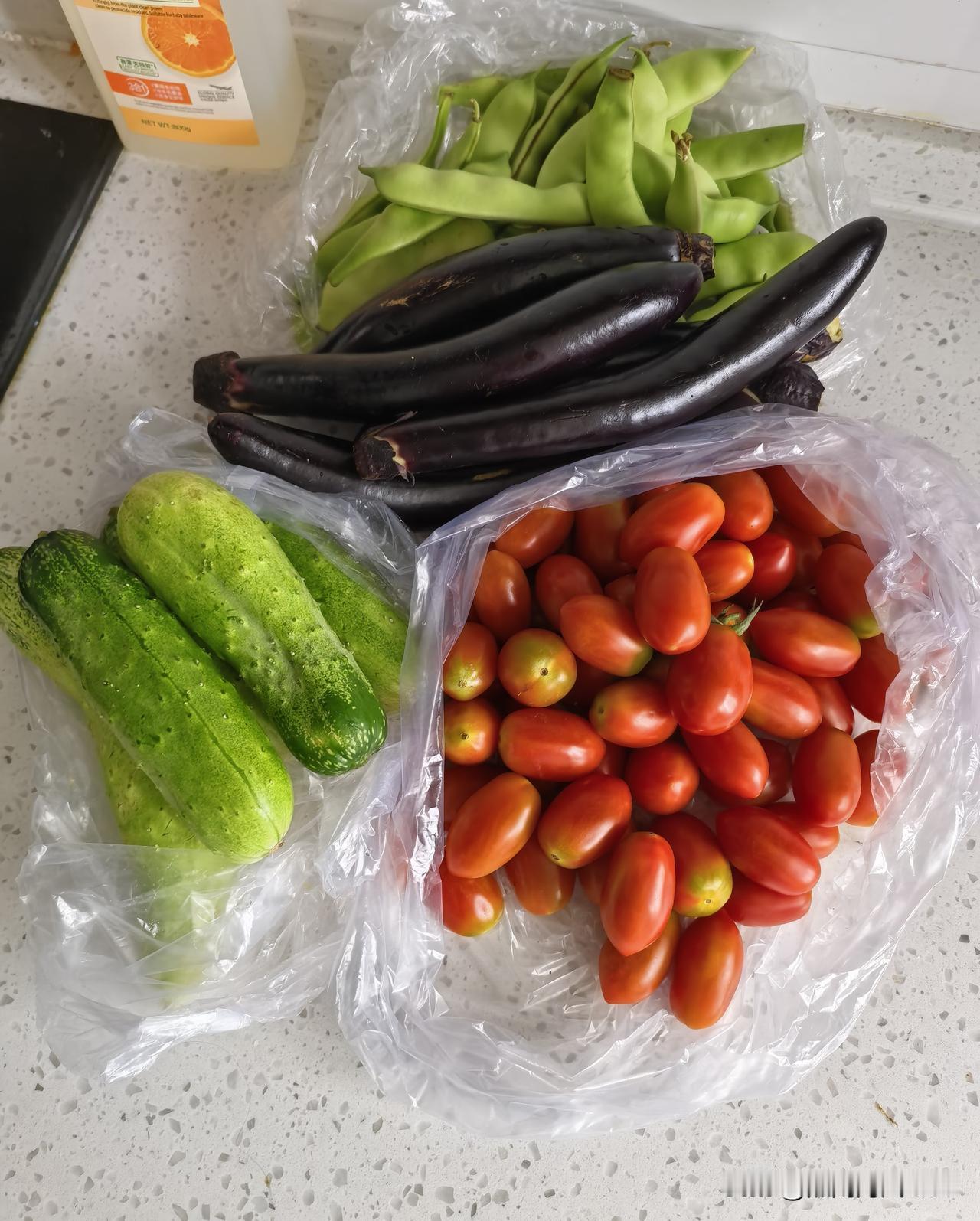 谁也没想到，正值盛夏，不起眼儿的黄瓜，涨价了，鸟枪换炮了！

刚刚从早市回来，没