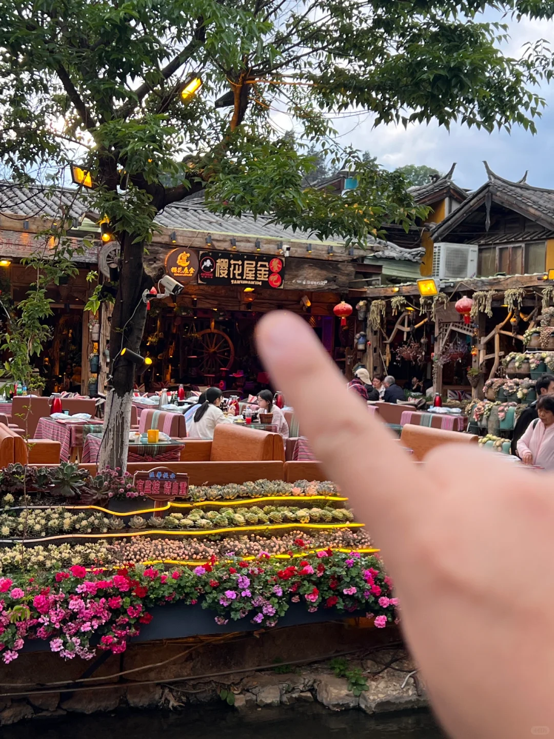 丽江古城里这家好吃不贵……