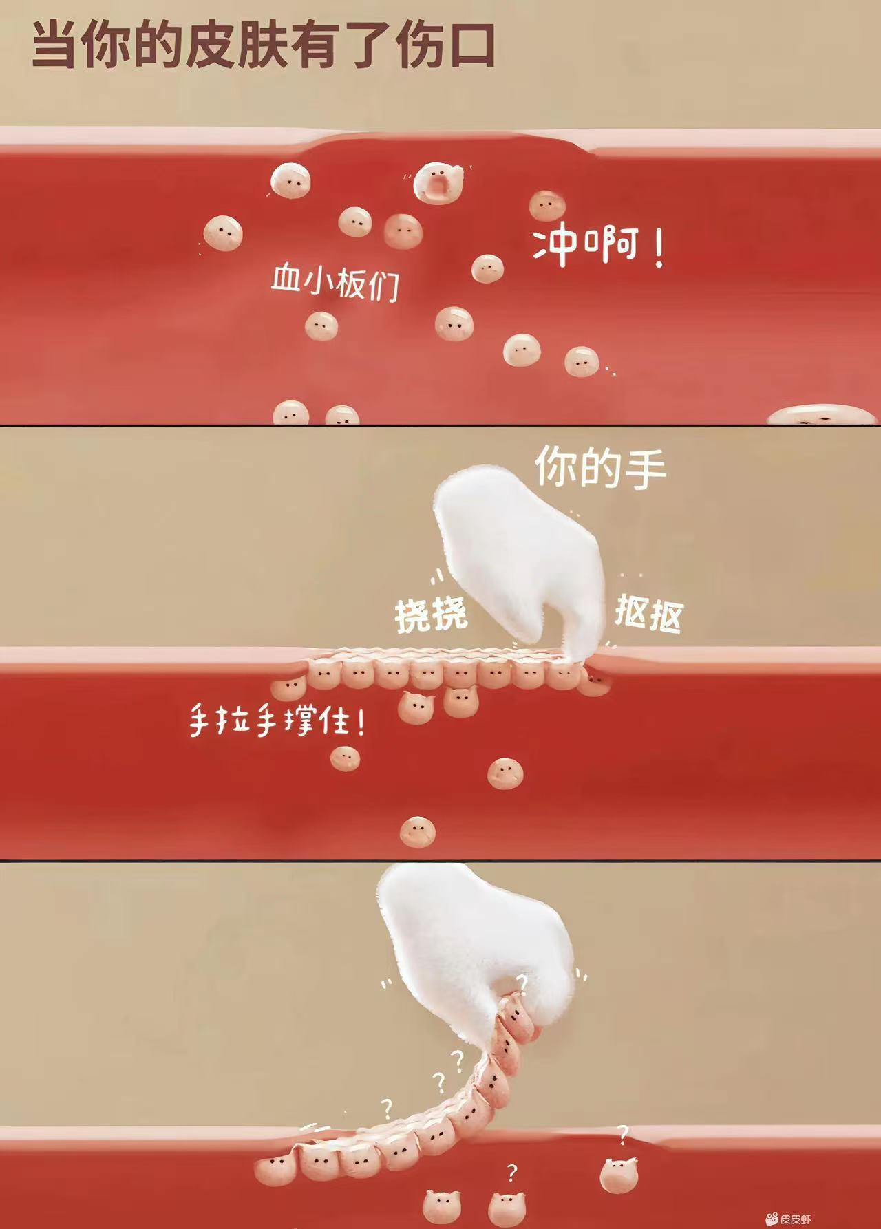 对不起
