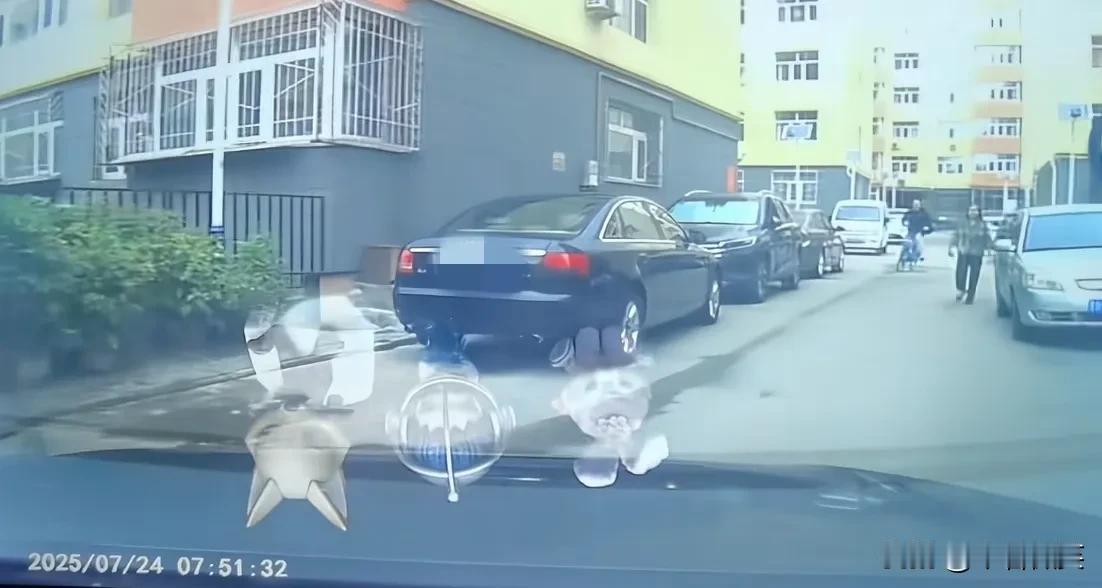 绝了！女子骑自行车摔倒，跟车主要医疗费，称是“无接触交通事故”！

7月24日，