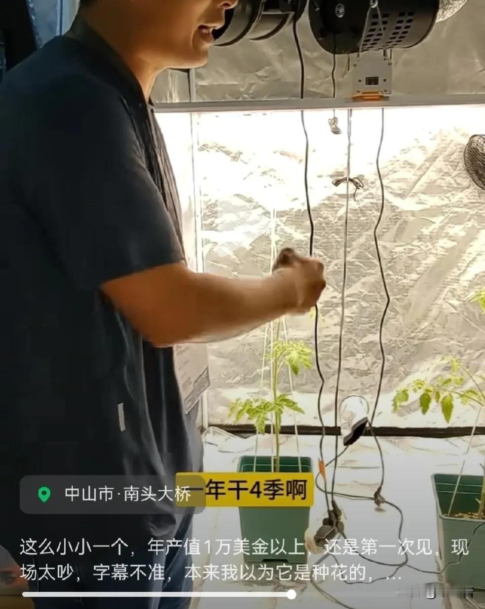 美国的大麻贩子有福了……
据说最近广州办的展会挺热闹，还有人展示了一种种植神器。