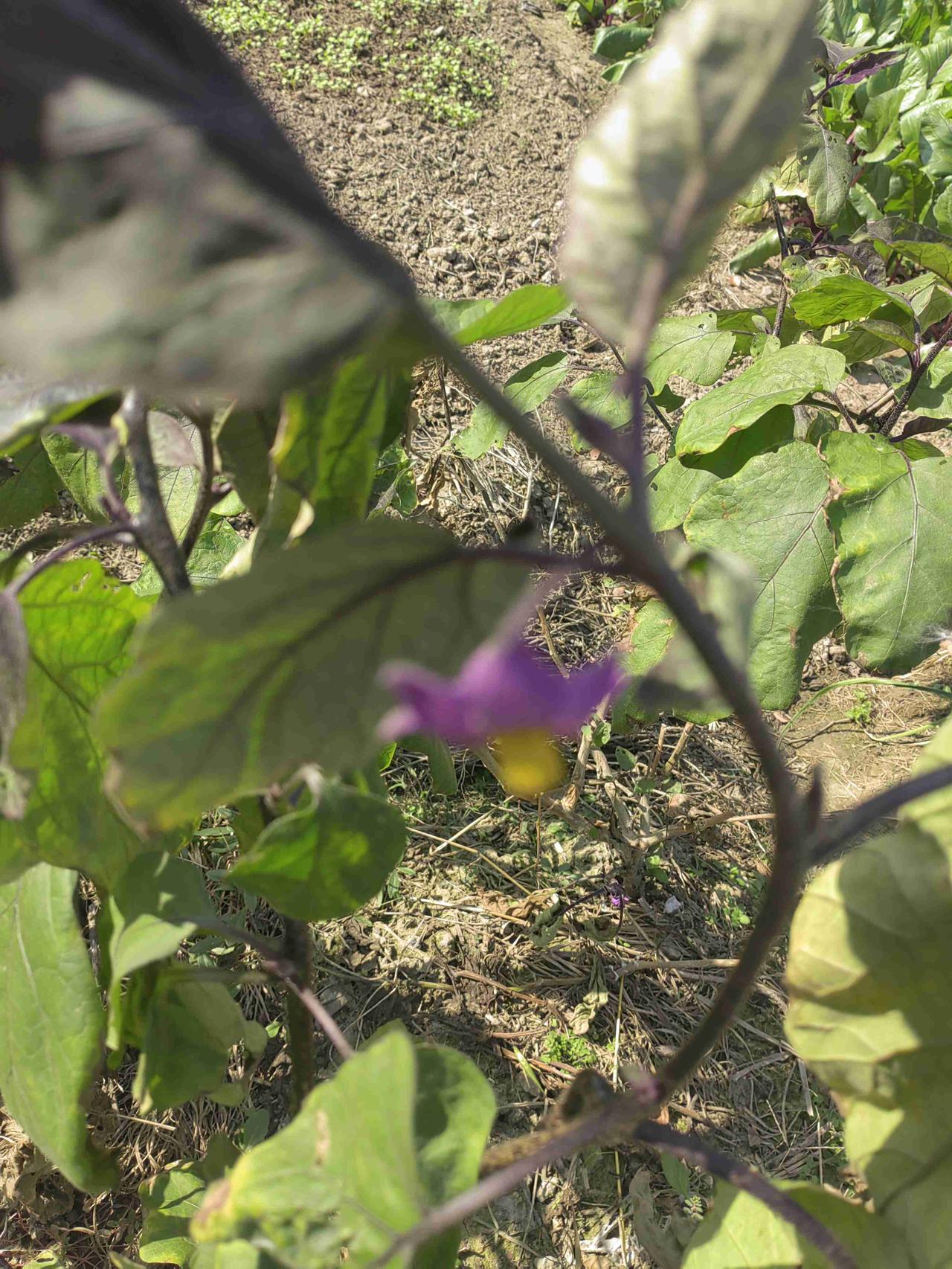 我的今日状态：😁轻松愉快
我这里的天气：☀️晴天