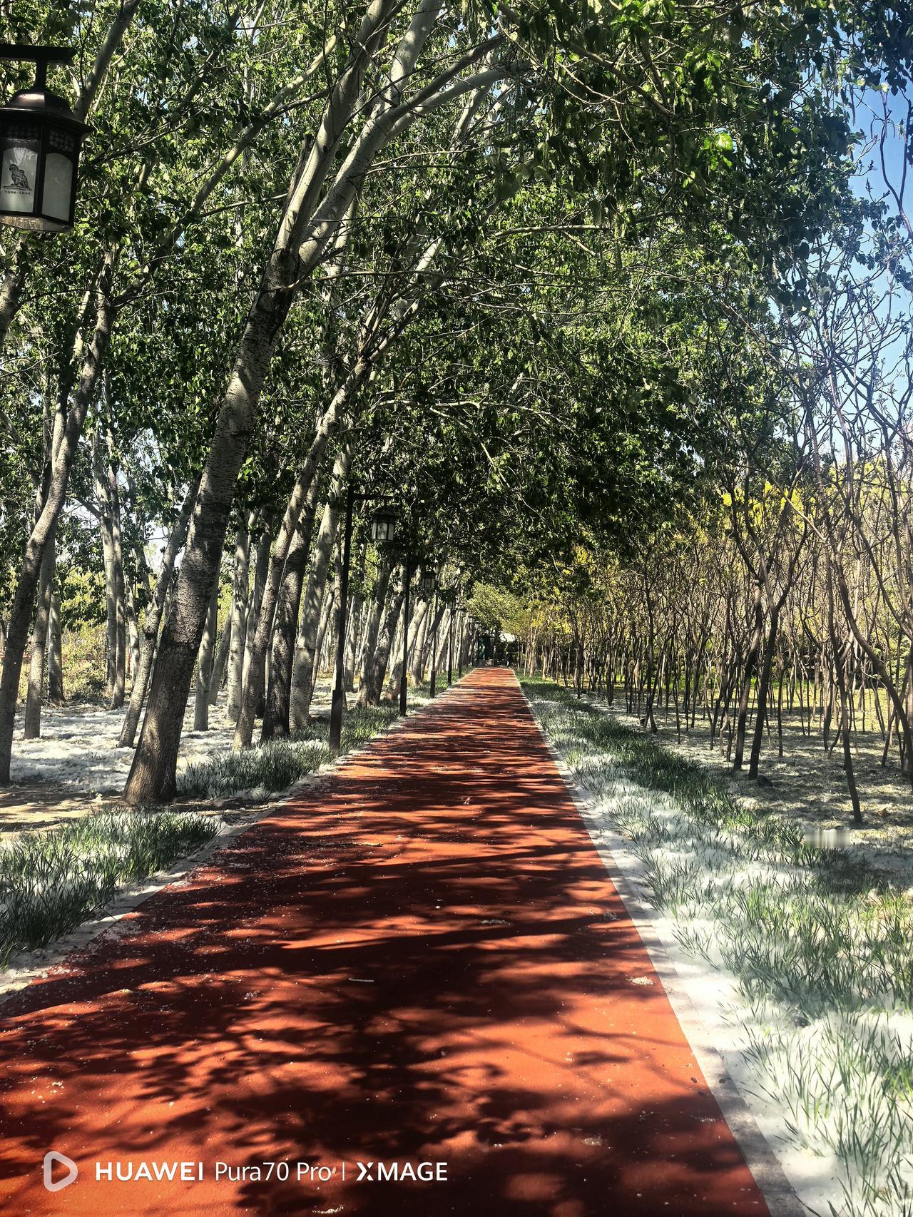 饺子升糖快的原因主要是面皮，一般都是采用精面粉，再加之饺子馅多盐多油，必吃精面馒