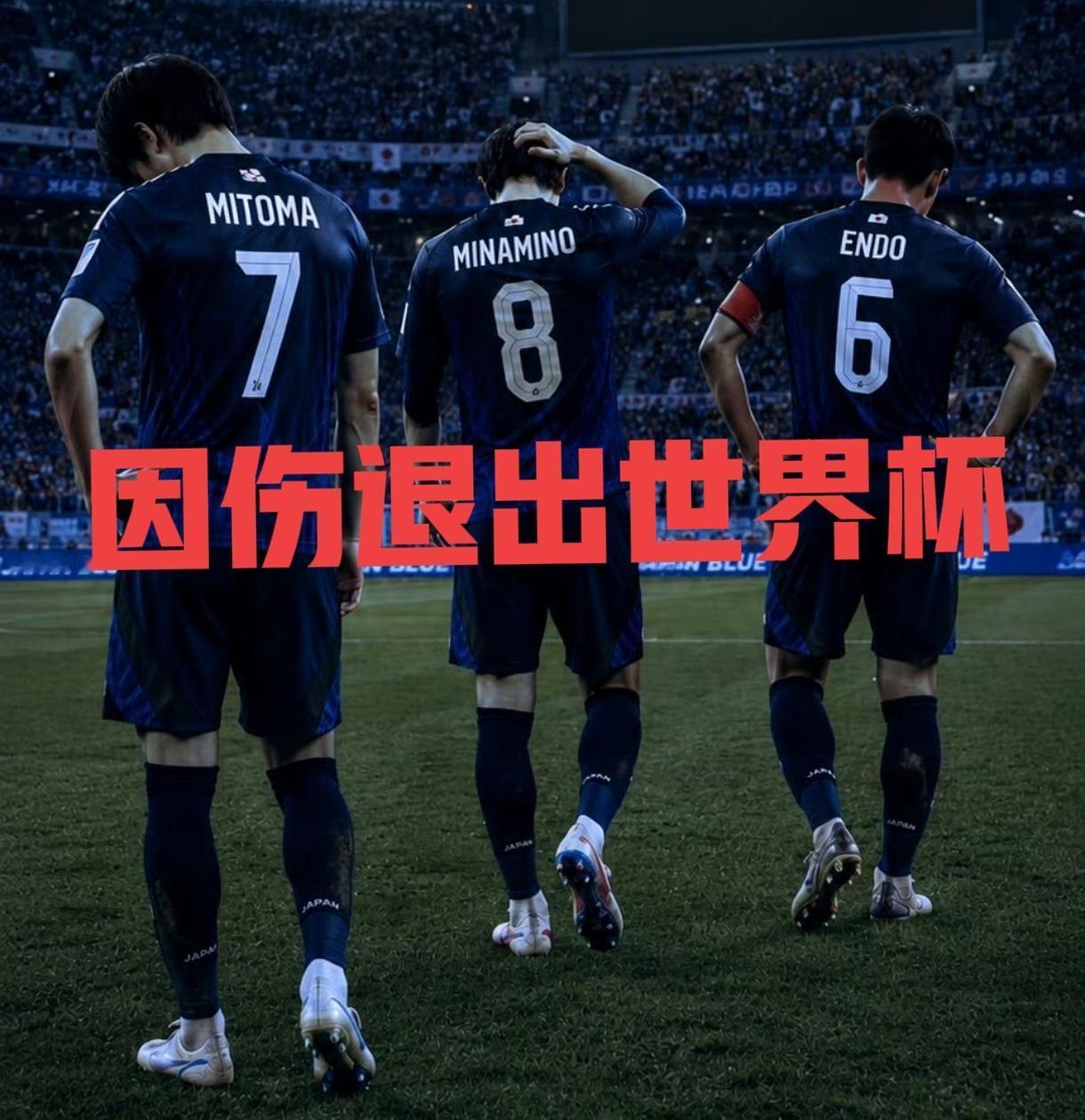 日本队太可惜了，临阵折损三员大将（远藤航、三笘薫、南野拓实等绝对主力），这对球队