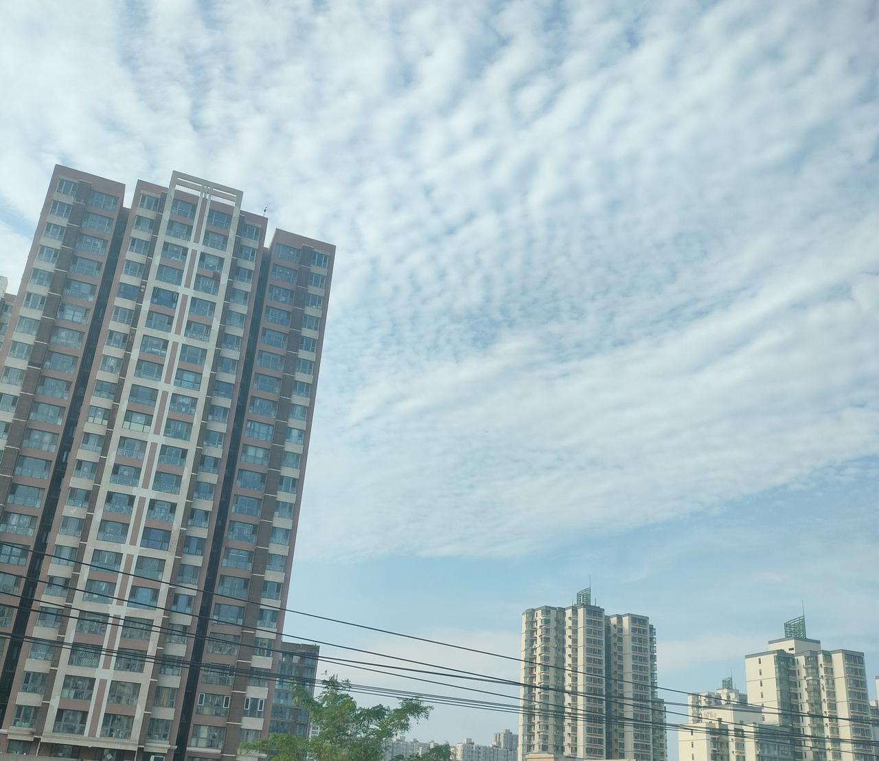 我的今日状态：💰期待暴富
我这里的天气：☀️晴天