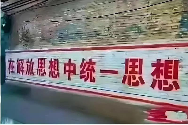 这玩意儿我怎么看不太懂呢？[捂脸][捂脸][捂脸]