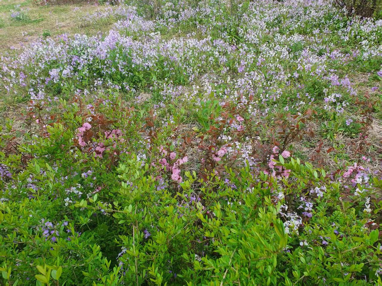 那么牵挂惦记孩子干啥？他们都比你过得好多了

头条上有一对著名母子，俩人都写头条