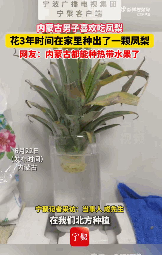 只要功夫深，铁杵磨成针！内蒙古，一个生活在零下35度严寒地带的男子，竟然花了整整