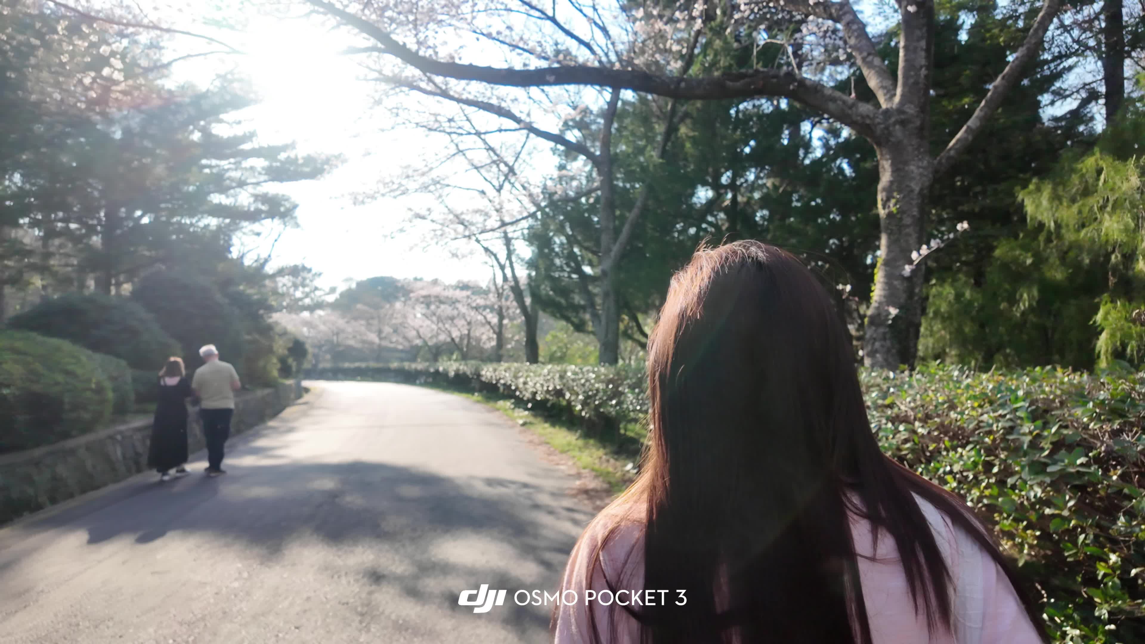 “你想去很多地方”