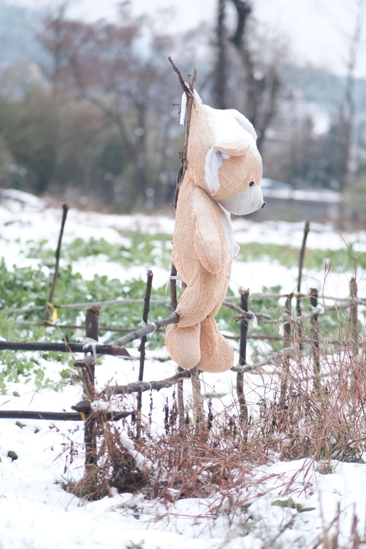 圣诞快乐劳伦斯先生 随拍记录生活