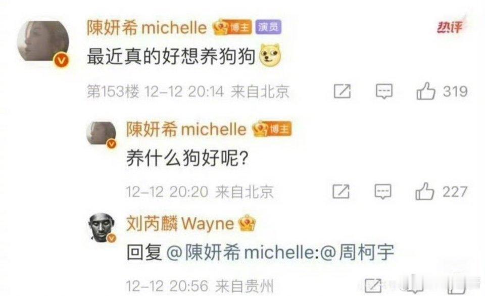 陈妍希想养狗了陈妍希想养狗刘芮麟艾特周柯宇回复 哈啊哈还陈妍希想养什么狗了！！周