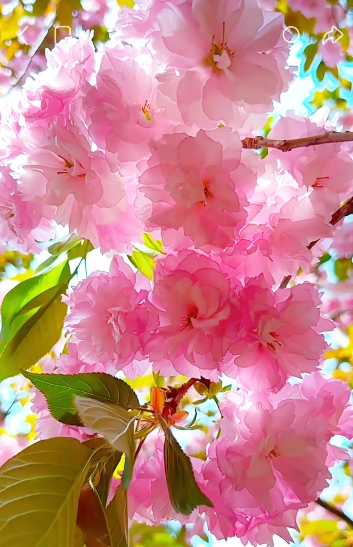 如果你有退休金，
​并且子女找了外省的伴侣，那我奉劝你一句：老了尽量跟着子女走，