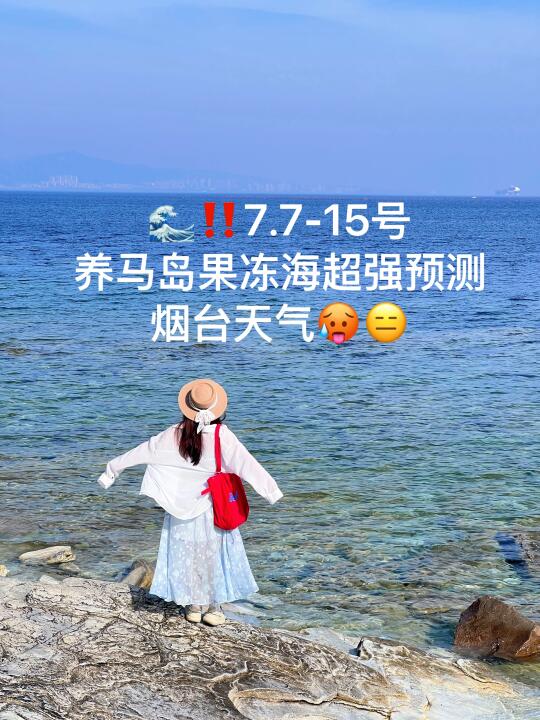 📍7.7-16号烟台养马岛果冻海超强预测