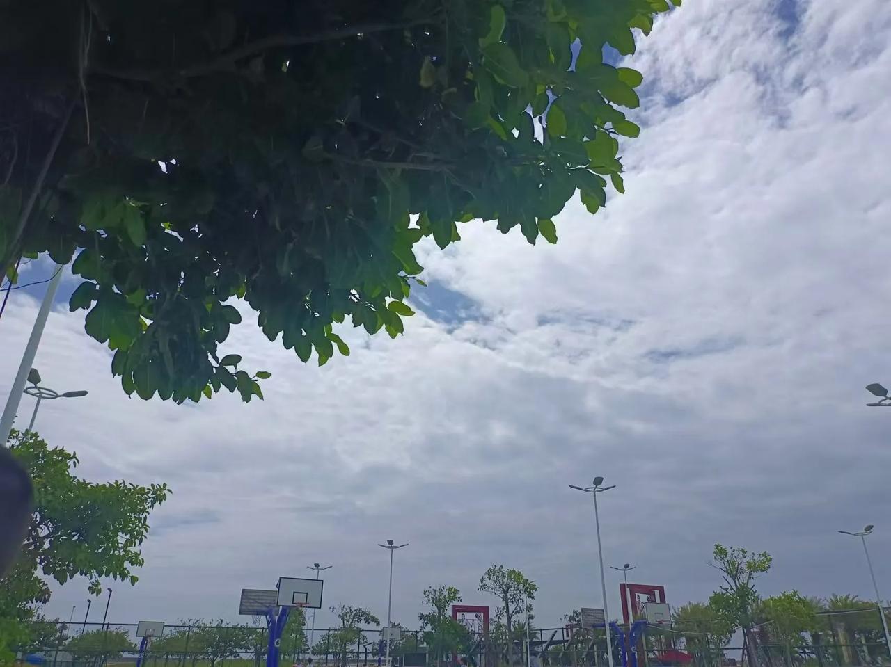 发现一个打篮球的好去处，汕头东海岸公园篮球场，上午是开放的不收钱，下午和晚上要收