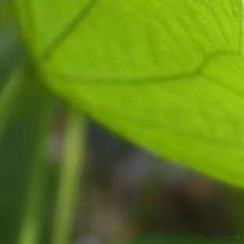 每日一善阳光信用  好好生活，慢慢爱你，不早不晚，刚好是你… 