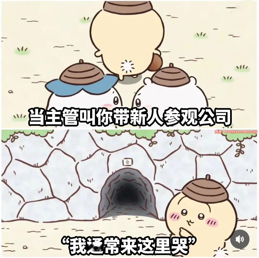 (╥﹏╥)meme