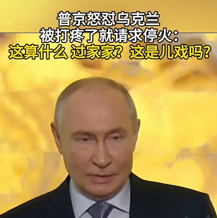 普京怒怼二毛，他说：一把你们打疼了，就苦苦哀求停火，这算什么事，过家家吗，把战争
