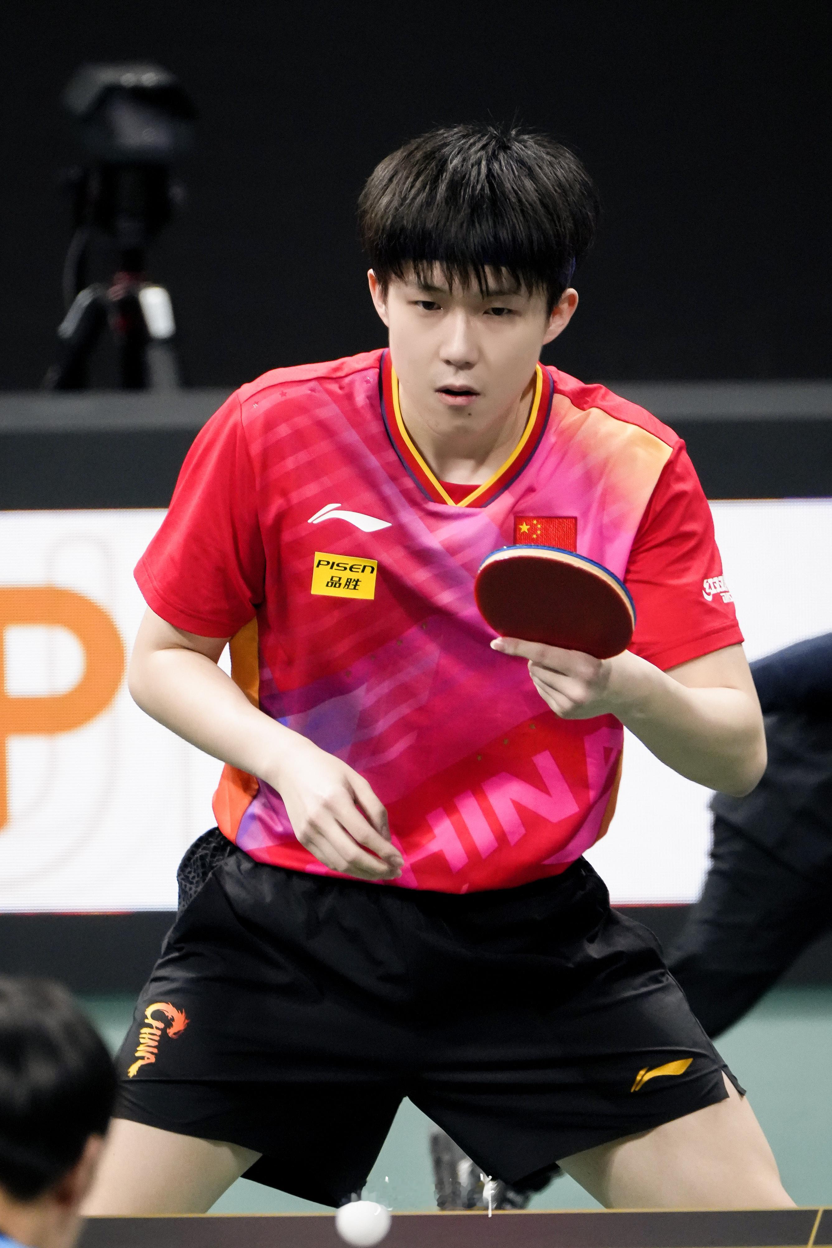 意气风发 王楚钦 🦁  