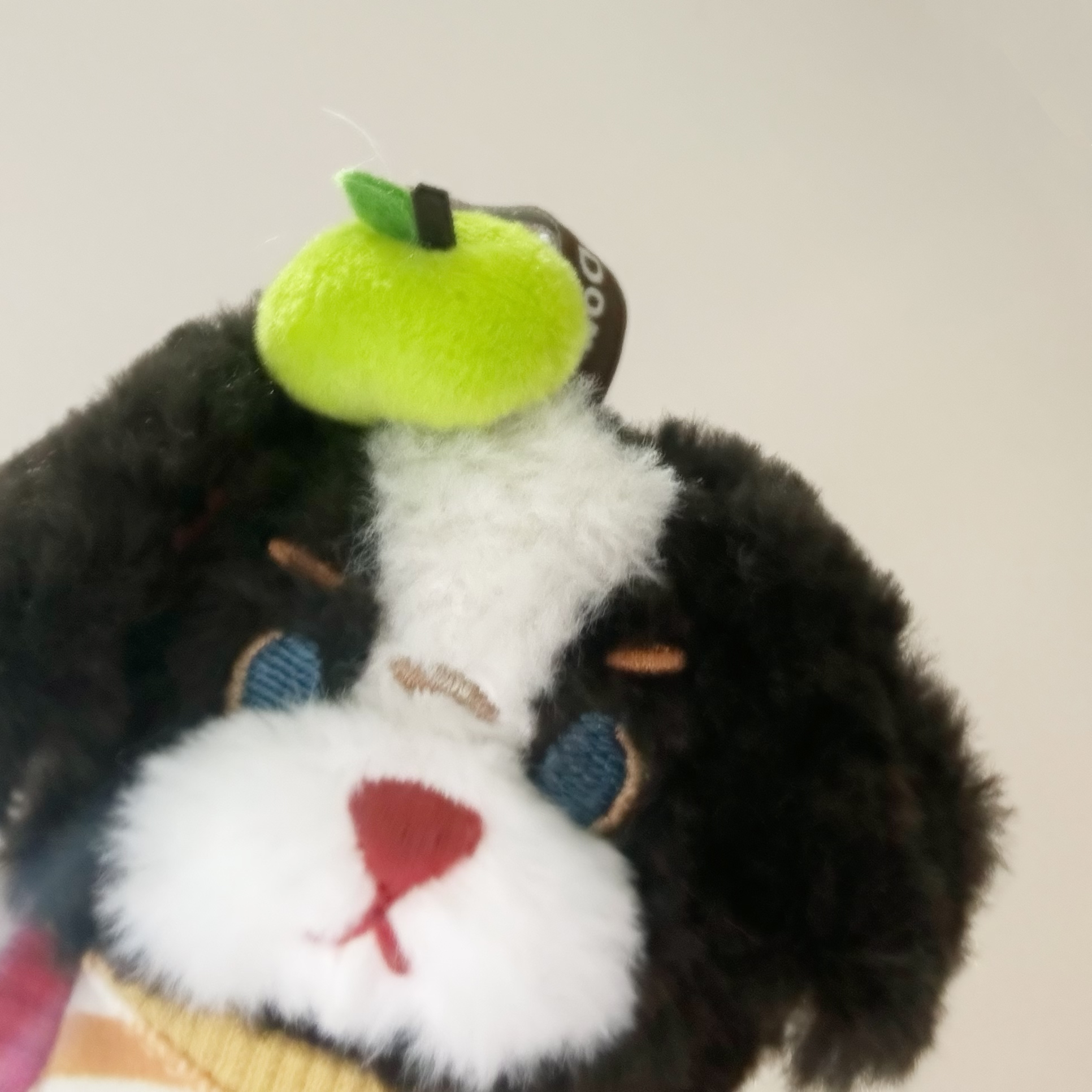 ૮・ᴥ ・ა 