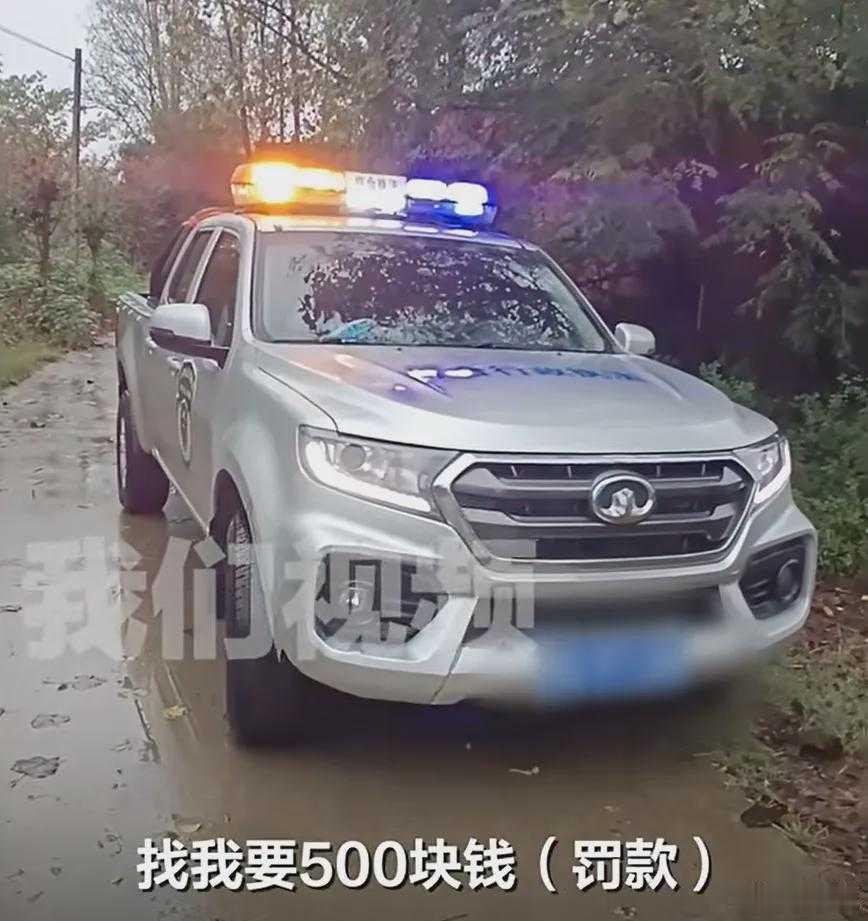 血观音仿妆贺女士五年前被确诊为恶性肿瘤。今年在给家中菜地除草后，点火焚烧了占地一