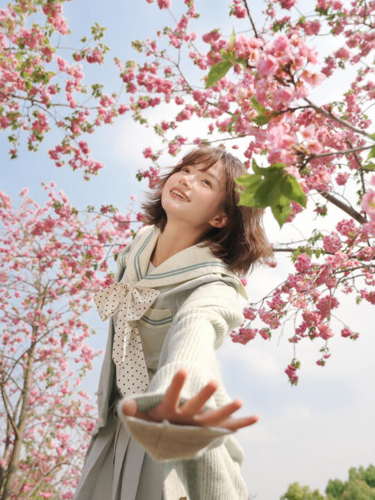沉醉在樱花漫山遍野的盛大春日🌸