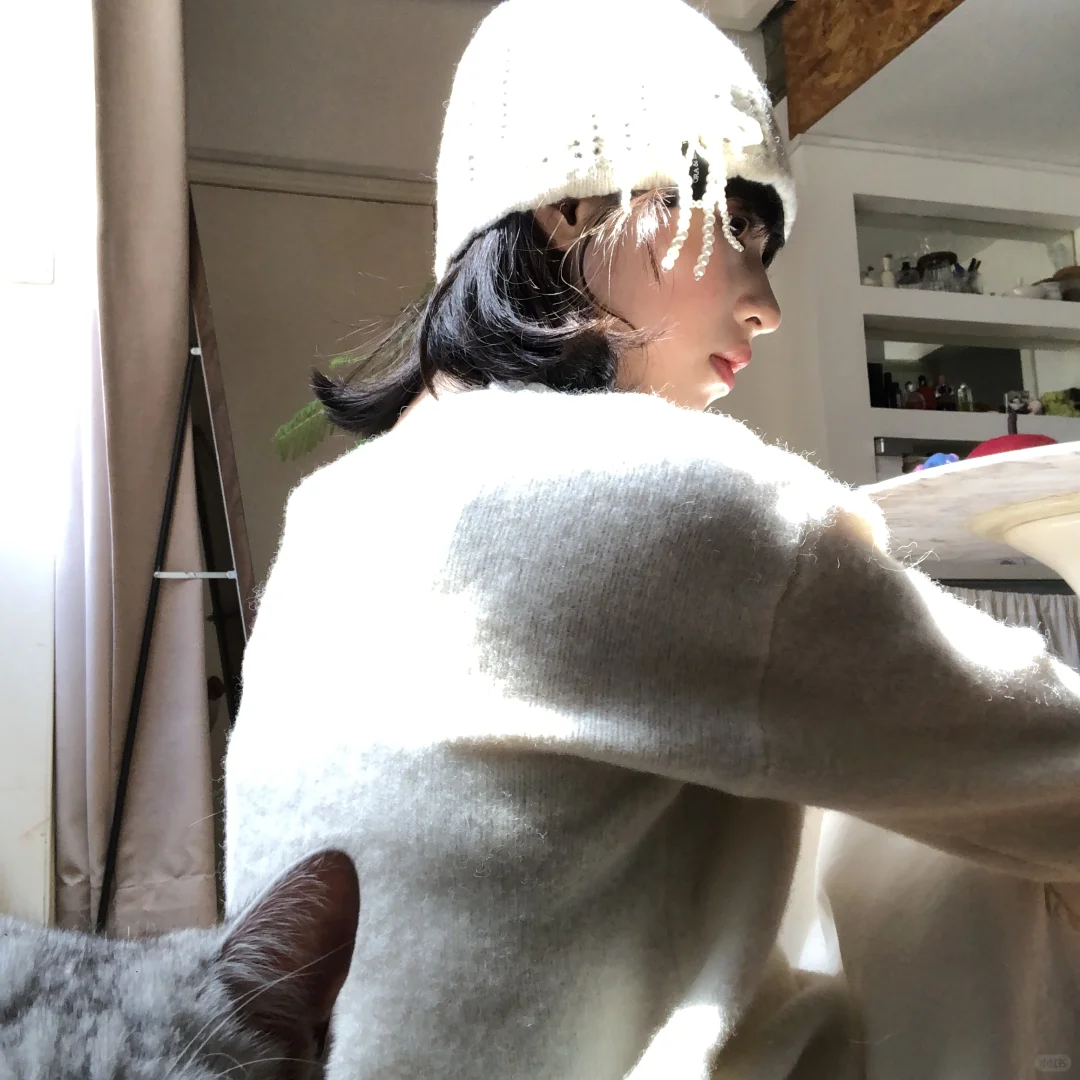 猫猫按下了快门键