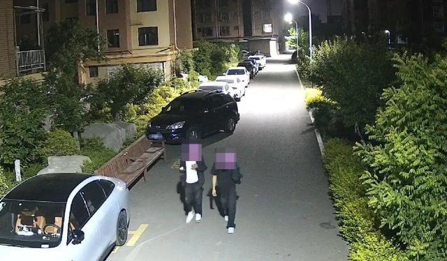 带病行窃还高调庆功！淄博两笨贼荒唐操作当场落网
 （个人观点仅供参考无任何不良引