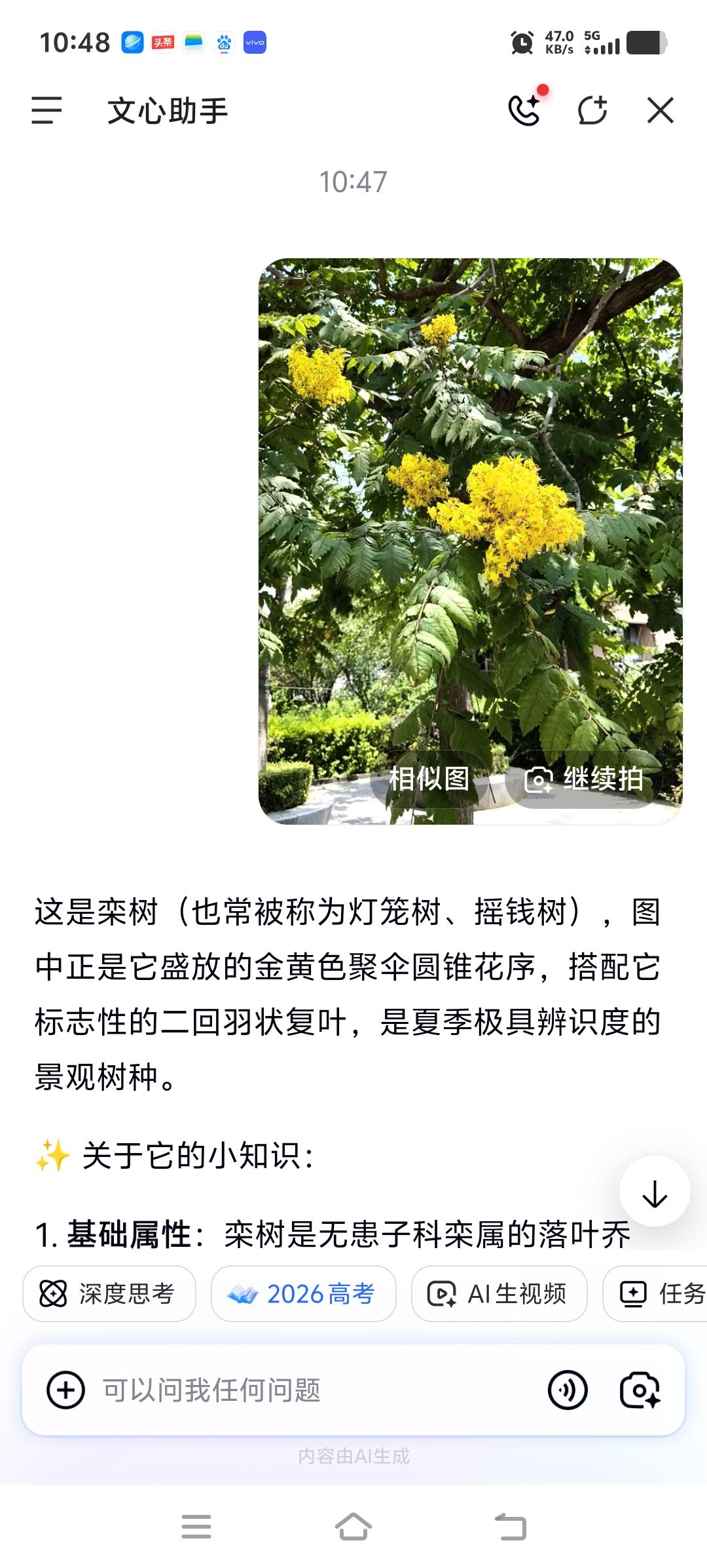在小区里住了十来年了，每天在树下走过，夏季来临树又开花了，一簇簇的黄花花瓣上夹杂