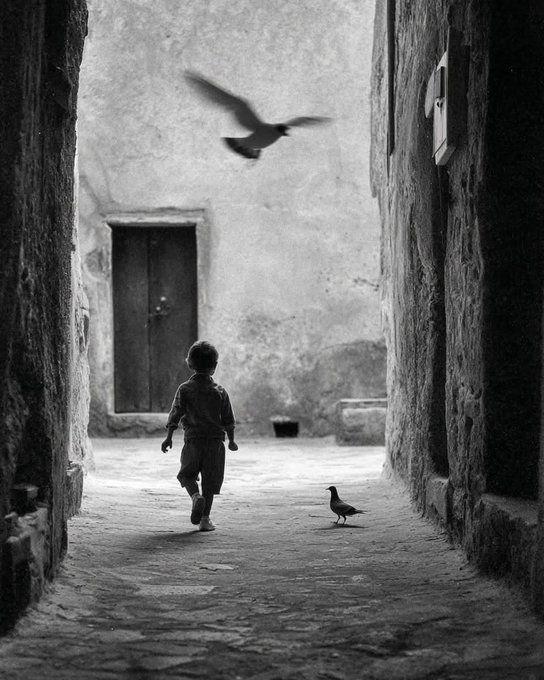 人类是“未设定完成的动物”（尼采）。这句话的意思应该是：动物在预定的轨道中完成它