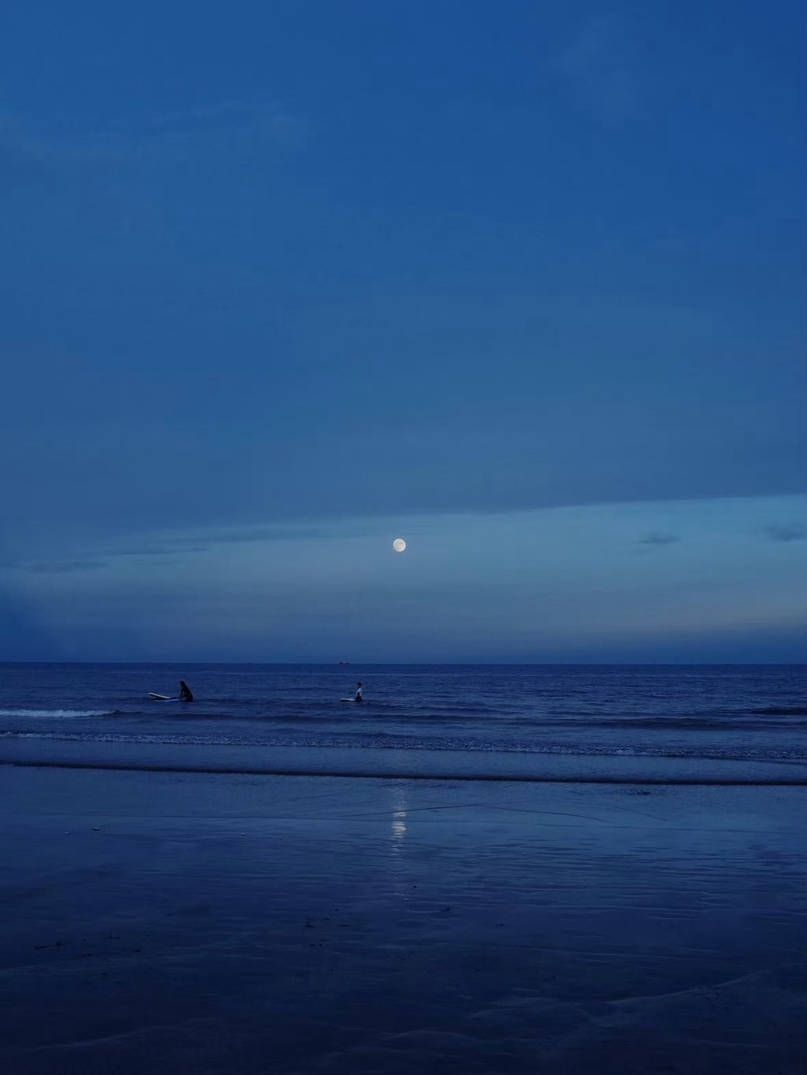 一直游到海水变蓝🌊 
